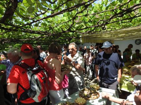 12. pohod Pomlad v prleških goricah Dan odprtih kleti in veselih ljudi, 28.5.2016 13